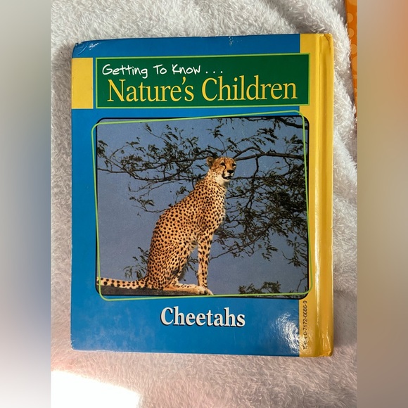 Educational book bundle- non fiction -Scholastic - Picture 9 of 14